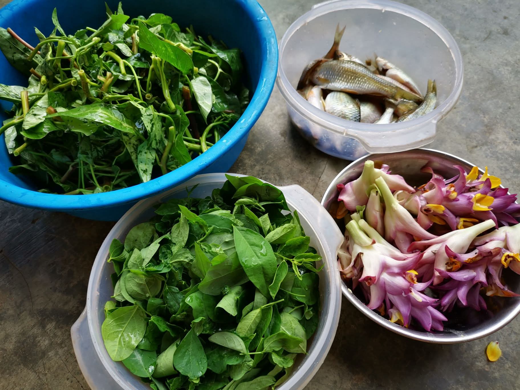 Sắc tím của canh bông giờ